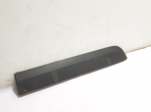 Front door molding - 828774671R