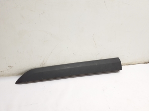 Front door molding - 808775109R