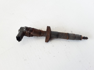 RENAULT Vel Satis (2002–2009) Injektor Einspritzdüse 8200084534 - 4