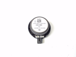 Speaker - A2478201300