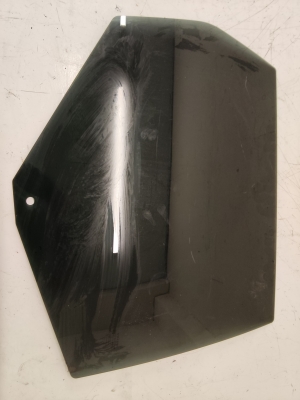 Türscheibe hinten - 43R001090