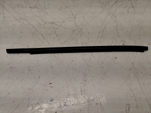 NISSAN Juke F15 (2010–2018) Fensterschachtleiste außen Tür hinten RRRHJUKE