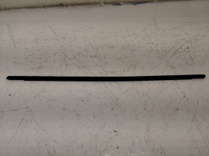Fensterschachtleiste außen Tür hinten - 3C5839477