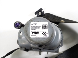 Opel Ampera E (2017–2026) Sicherheitsgurt hinten 42597981 - 2