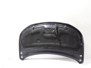 Citroen DS 7 (2017–2026) Motorhaube 9819324980 - 2