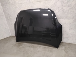 Hood - 30762252