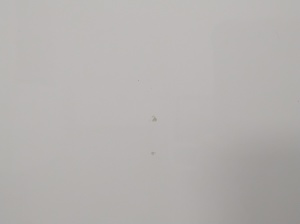 Volkswagen Golf VII (2012–2026) Hood - 7