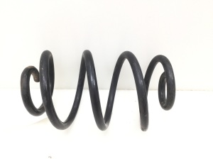 Rear spring