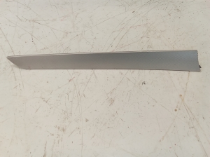 Rear side door panel trim - 8K0867419