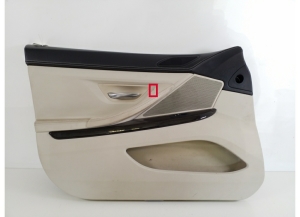 Front door panel - 