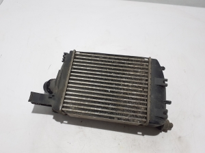 Dacia Duster (2017–2024) Vahejahuti radiaator 144965154R - 2