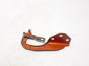 Kapoti hing - 654019784R