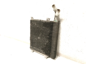 Jaguar XF (2008–2016) Jahutusradiaator 9X238D048 - 2