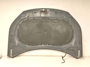 Volkswagen Tiguan (2007–2016) Motorhaube - 2