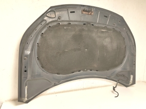 Volkswagen Tiguan (2007–2016) Motorhaube - 3