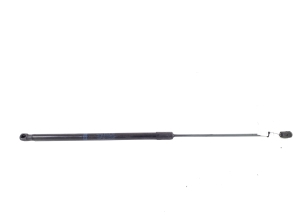 Kapoti tugi/gaasamortisaator - A2539801264