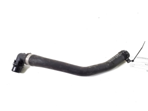 Voolik - A2938304400