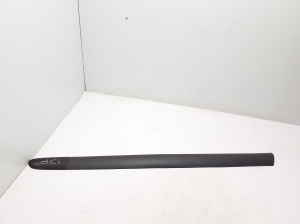 Front door molding - 8200072237