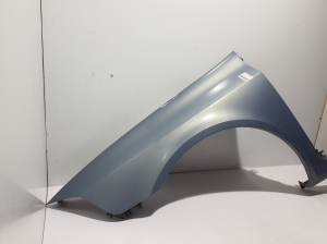 RENAULT Laguna II (2001–2007) Front fender 8200257314 - 2