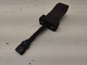 AUDI A6 C7 (2011–2018) Rear side door opening limiter 4G0839249A - 2