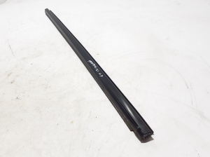 Ford Mustang Mach-E Mach-E (2020–2026) Außenfensterdichtung vordere Tür LJ8BR20563AC - 3