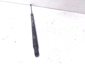 Rear window gas strut - 9654438880