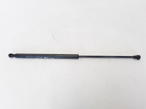   Motorhaubenstütze/Gasdruckfeder  - 8200015091 