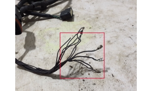 Ford Mustang Mach-E Mach-E (2020–2026) Vadu instalācija LJ8T14290ECH - 2