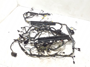 Ford Mustang Mach-E Mach-E (2020–2026) Salongi juhtmestik LJ8T14A005ECG - 2