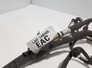 Ford Mustang Mach-E Mach-E (2020–2026) Kabelbaum LJ8T14B599EAC - 2