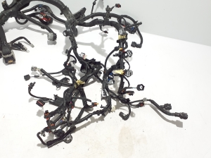 RENAULT Austral (2022–2026) Engine wiring harness 240119647S - 2