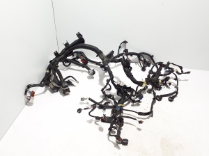   Engine wiring harness  - 240119647S 
