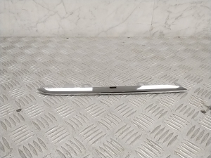 Chromleiste für den Kühlergrill - A2058880673