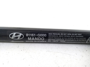 Hyundai IONIQ 5 I (2021–2026) Hood prop/gas strut 81161GI000 - 3