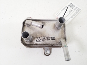   Muu radiaator  - 254N0GI000 