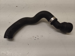 Radiator hose - 202569114E0