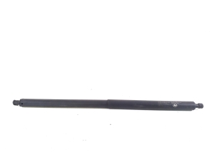   Trunk lid strut  - 81841GI100 
