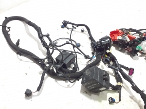 RENAULT Austral (2022–2026) Kabelbaum 403885058R - 3