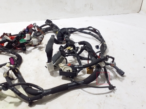 RENAULT Austral (2022–2026) Kabelbaum 403885058R - 6