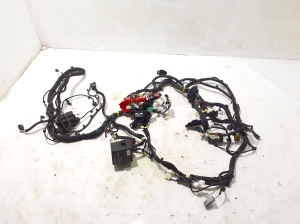 Wiring harness - 403885058R