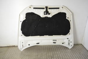 AUDI Q5 (2008–2017) Hood 8R0823029 - 2
