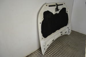 AUDI Q5 (2008–2017) Hood 8R0823029 - 3