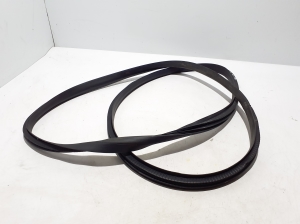 RENAULT Austral (2022–2026) Front door rubber seal 808331550R - 2