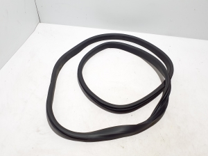   Rear side door seal on the door  - 769233185R 