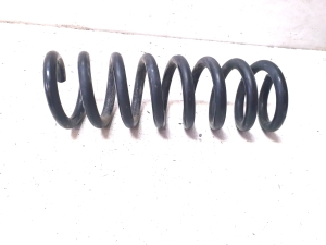 Rear spring