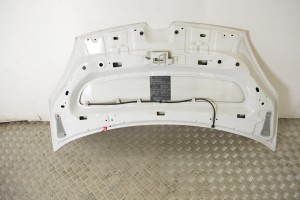 RENAULT Kangoo (2008–2020) Hood 651329338R - 3