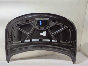 Peugeot 3008 (2016–2026) Motorhaube 9842375180 - 2