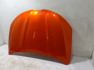 Motorhaube - 651001544R