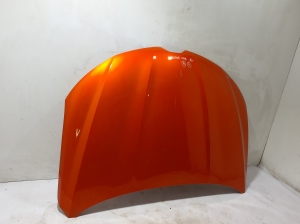 RENAULT Arkana (2019–2026) Motorhaube 651001544R - 3