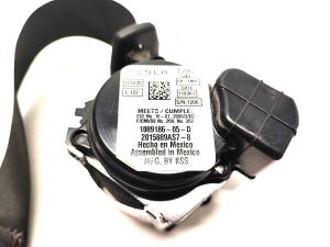 Tesla Model X X (2015–2026) Sicherheitsgurt hinten 1089186-05-D - 3